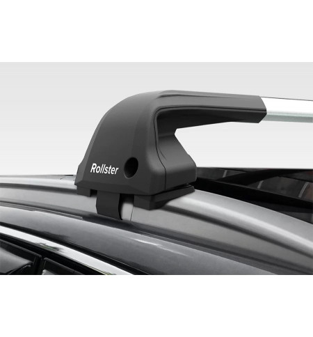 Багажник Rollster на EXEED 2021 внедорожник — Арт. 20523 серебро в Новосибирске